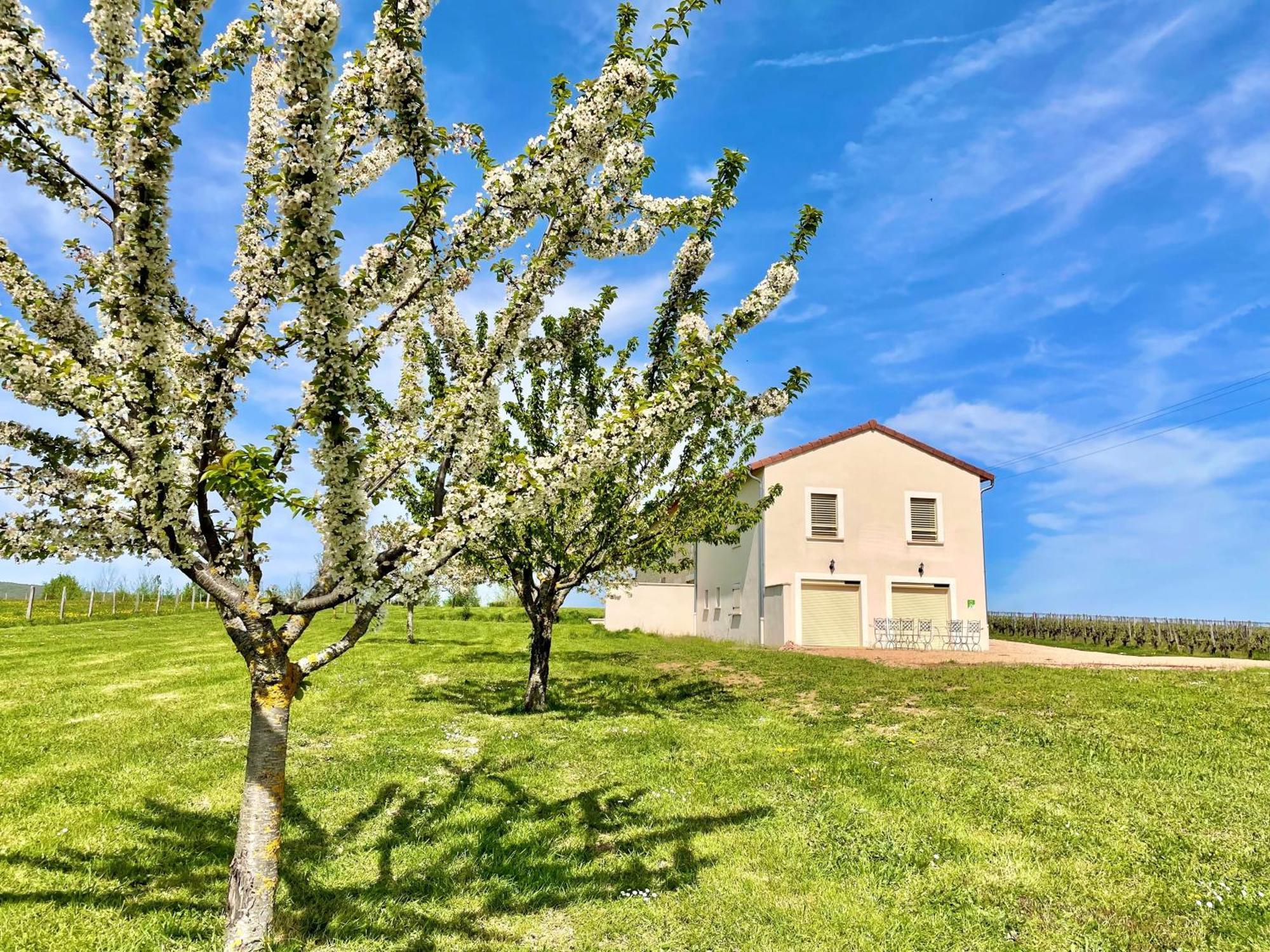 Domaine Joseph Lafarge Wine Resort Winemaker House La Maison Du Negociant Lugny Kültér fotó
